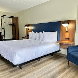 King Room Mobility accessible